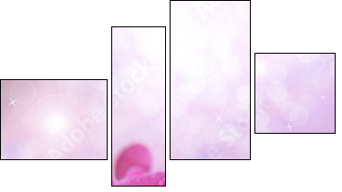 Beautiful blooming orchid  on light color background - Four-piece canvas, Fortyk