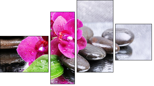 Composition with beautiful blooming orchid with water drops and - Four-piece canvas, Fortyk