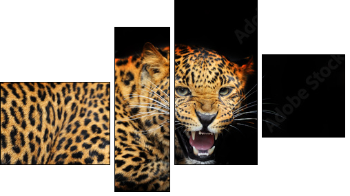 Portrait of leopard in its natural habitat - Four-piece canvas, Fortyk