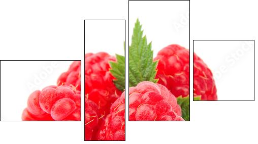 Sweet raspberry with leafs - Four-piece canvas, Fortyk