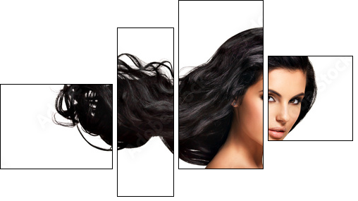 Beautiful brunette woman with long black  hair - Four-piece canvas, Fortyk