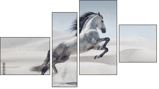 Picture presenting the galloping white horse - Four-piece canvas, Fortyk