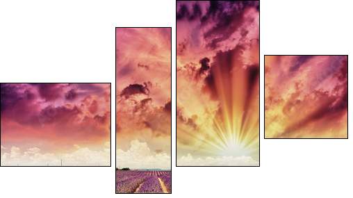 Lavender meadows in summer, Provence - France - Four-piece canvas, Fortyk