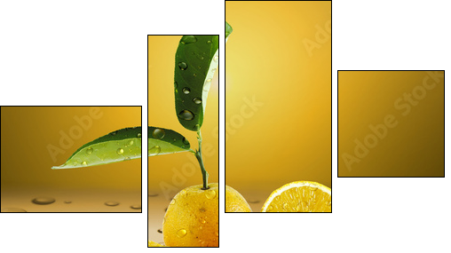 Laranja Molhada - Four-piece canvas, Fortyk