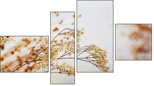 Dried flowers background - Four-piece canvas, Fortyk