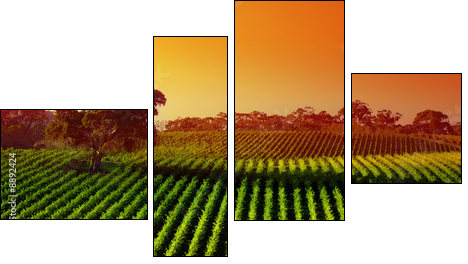 Beautiful Vineyard Landscape with large gum tree - Four-piece canvas, Fortyk