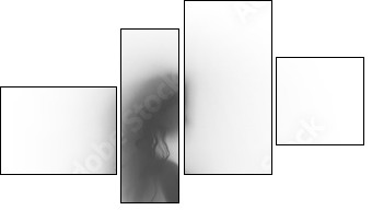 Sexy woman body silhouette - Four-piece canvas, Fortyk