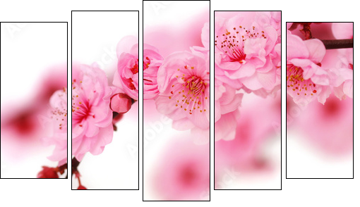 Spring cherry flowers reflected in rendered water - Five-piece canvas, Pentaptych