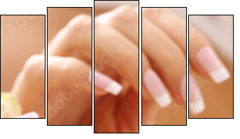 hands care. Female hands holding rose petals - Five-piece canvas, Pentaptych