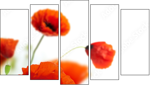 floral design, decoration flowers, poppies border - corner - Five-piece canvas, Pentaptych