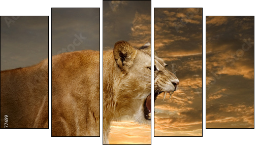 LÃ¶we 001 - Five-piece canvas, Pentaptych