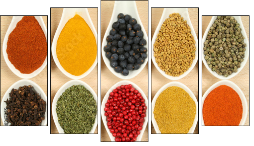 Colorful spices - Five-piece canvas, Pentaptych