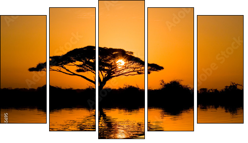 acacia tree at sunrise - Five-piece canvas, Pentaptych