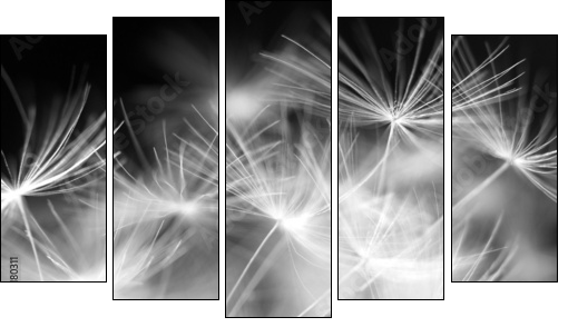 Macro beauty dandelion - Five-piece canvas, Pentaptych