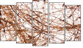 sisal background - Five-piece canvas, Pentaptych