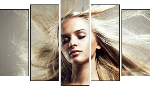 Beautiful woman with magnificent hair - Five-piece canvas, Pentaptych