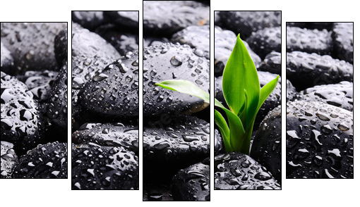 Spa concept - Five-piece canvas, Pentaptych