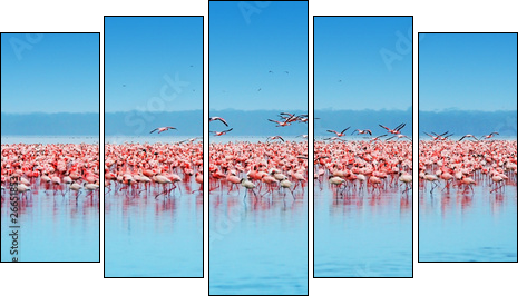 African flamingos - Five-piece canvas, Pentaptych