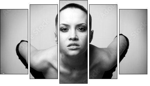 portrait of beauty. sexy fashion girl. - Five-piece canvas, Pentaptych