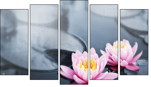 Lotus blossoms - Five-piece canvas, Pentaptych