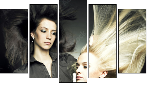 Woman in a beauty salon - Five-piece canvas, Pentaptych