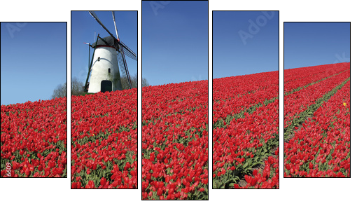 dutch mill and red tulips - Five-piece canvas, Pentaptych