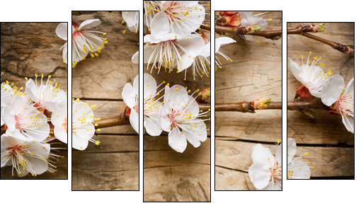 Wood background with spring blossom - Five-piece canvas, Pentaptych