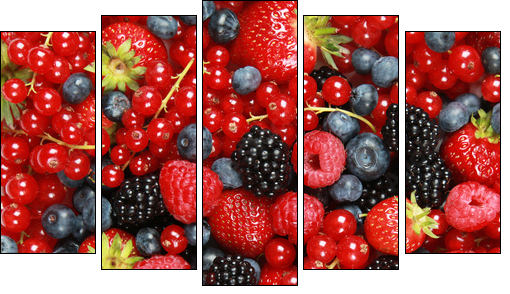 Beeren - Five-piece canvas, Pentaptych