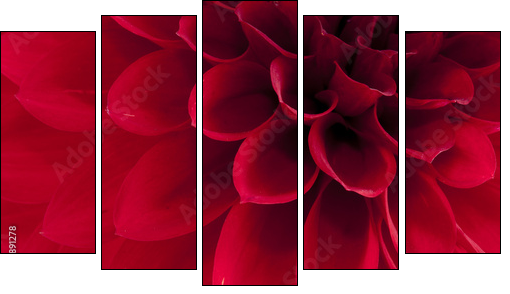 Dahlia - Five-piece canvas, Pentaptych