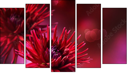 Dahlia Autumn flower design - Five-piece canvas, Pentaptych