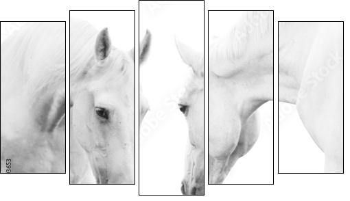 white horses - Five-piece canvas, Pentaptych