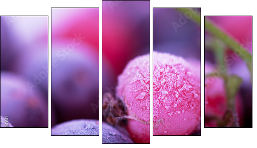 Frozen berries - Five-piece canvas, Pentaptych