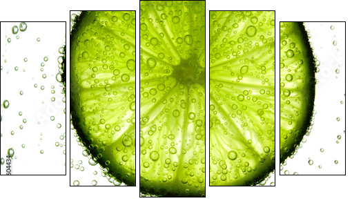 lime slice in water - Five-piece canvas, Pentaptych