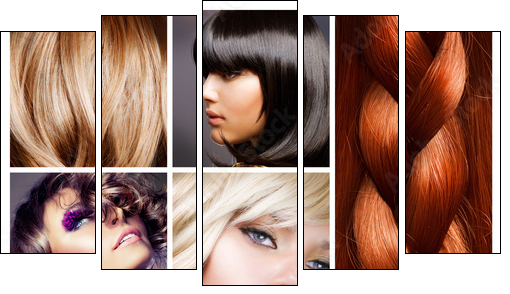 Hair Collage. Hairstyles - Five-piece canvas, Pentaptych