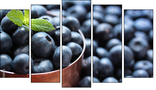 Blueberries - Five-piece canvas, Pentaptych