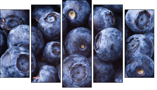 many blueberries - Five-piece canvas, Pentaptych