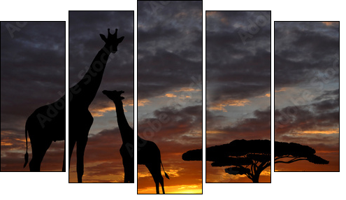 giraffes in the sunset - Five-piece canvas, Pentaptych