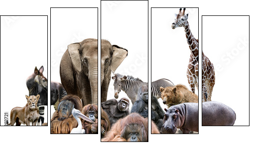 Wilde Tiere - Five-piece canvas, Pentaptych