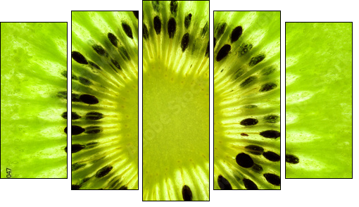 Fresh Kiwi background / SuperMacro / back lit - Five-piece canvas, Pentaptych