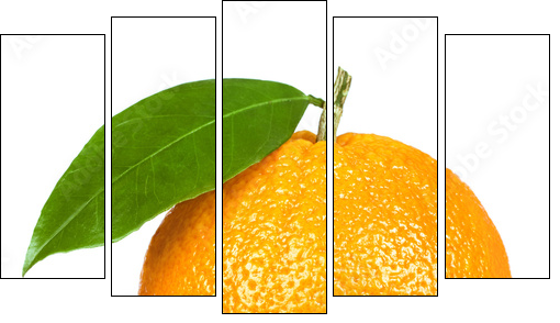 Ripe orange isolated on white background - Five-piece canvas, Pentaptych
