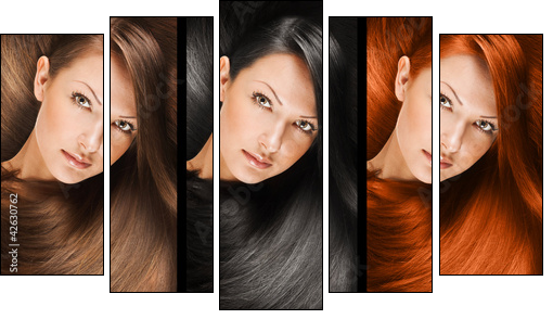 collage of a beautiful young woman , with long natural straight  - Five-piece canvas, Pentaptych