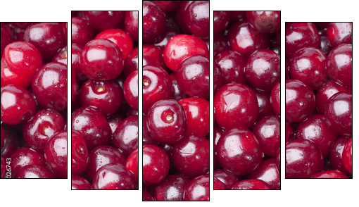 Cherry - Five-piece canvas, Pentaptych