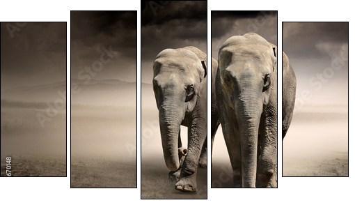 Pair of elephants in motion - Five-piece canvas, Pentaptych