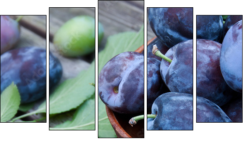 Pflaumen - Five-piece canvas, Pentaptych