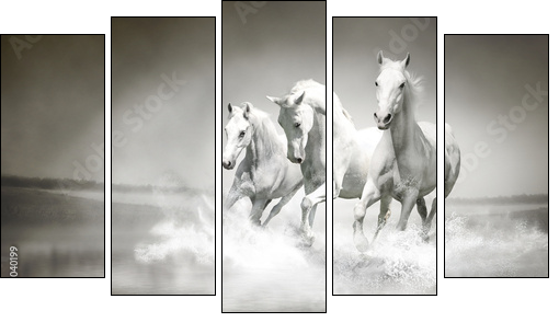 Herd of white horses running through water - Five-piece canvas, Pentaptych