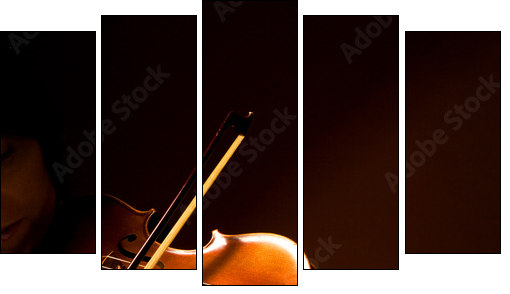 violoniste - Five-piece canvas, Pentaptych