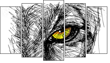 Hand drawn Sketch of a lion looking intently at the camera - Five-piece canvas, Pentaptych