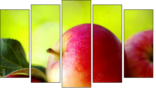 ripe red apples on table - Five-piece canvas, Pentaptych