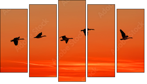 To home - Five-piece canvas, Pentaptych