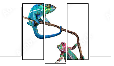 nach oben - Five-piece canvas, Pentaptych